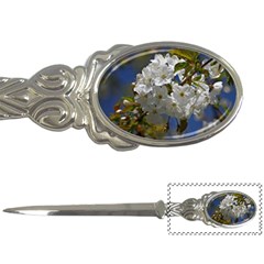 Cherry Blossom Letter Opener by Siebenhuehner