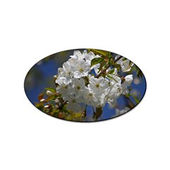 Cherry Blossom Sticker 100 Pack (Oval)