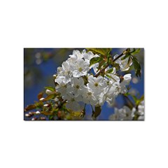 Cherry Blossom Sticker 10 Pack (rectangle) by Siebenhuehner