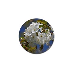 Cherry Blossom Golf Ball Marker 4 Pack by Siebenhuehner