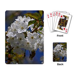 Cherry Blossom Playing Cards Single Design by Siebenhuehner