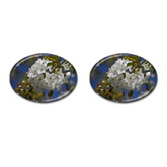 Cherry Blossom Cufflinks (oval) by Siebenhuehner