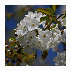 Cherry Blossom Glasses Cloth (Medium)