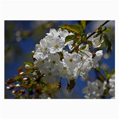 Cherry Blossom Glasses Cloth (large) by Siebenhuehner