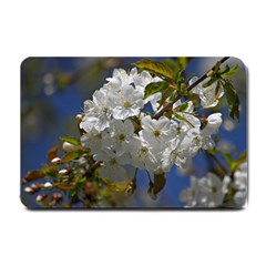 Cherry Blossom Small Door Mat by Siebenhuehner