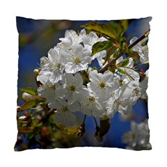 Cherry Blossom Cushion Case (Two Sided) 