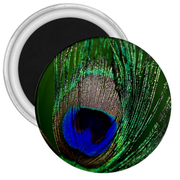 Peacock 3  Button Magnet