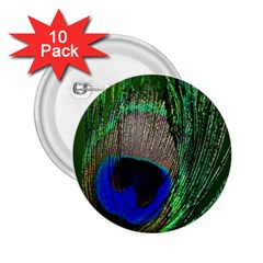 Peacock 2 25  Button (10 Pack) by Siebenhuehner