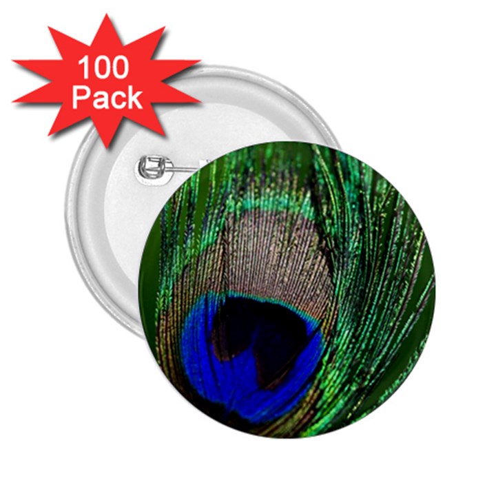 Peacock 2.25  Button (100 pack)