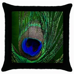 Peacock Black Throw Pillow Case by Siebenhuehner