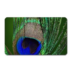 Peacock Magnet (rectangular) by Siebenhuehner