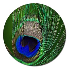 Peacock Magnet 5  (round) by Siebenhuehner