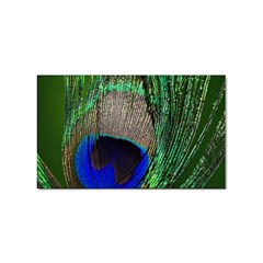 Peacock Sticker 100 Pack (rectangle) by Siebenhuehner