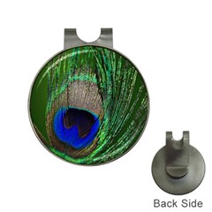 Peacock Hat Clip With Golf Ball Marker by Siebenhuehner