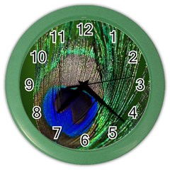 Peacock Wall Clock (color) by Siebenhuehner