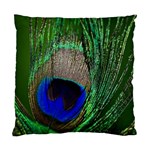 Peacock Cushion Case (Single Sided)  Front