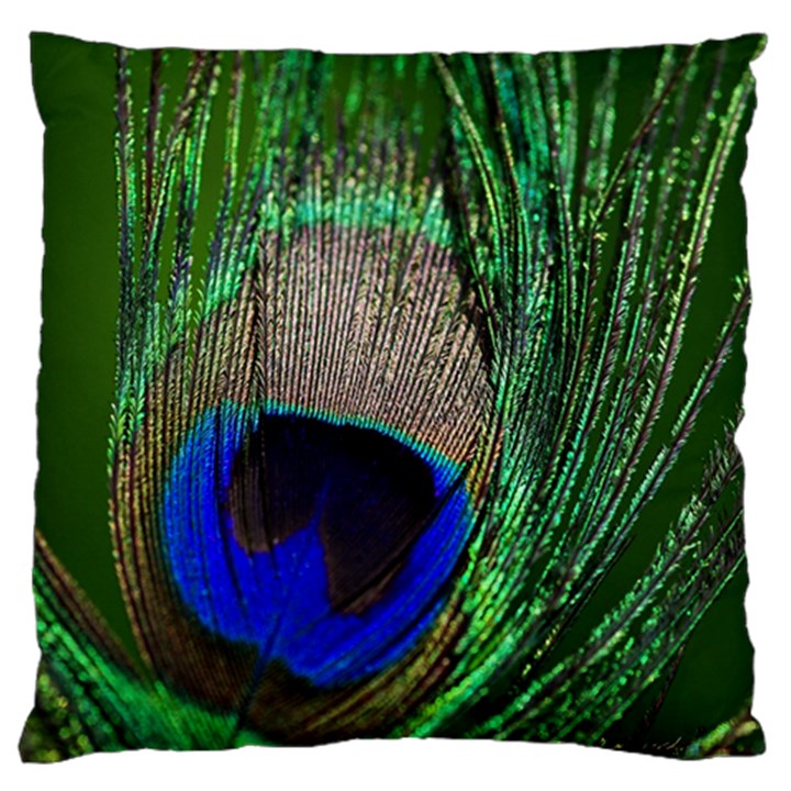 Peacock Large Cushion Case (Two Sided) 