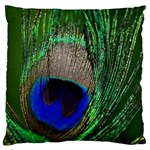 Peacock Large Cushion Case (Two Sided)  Back