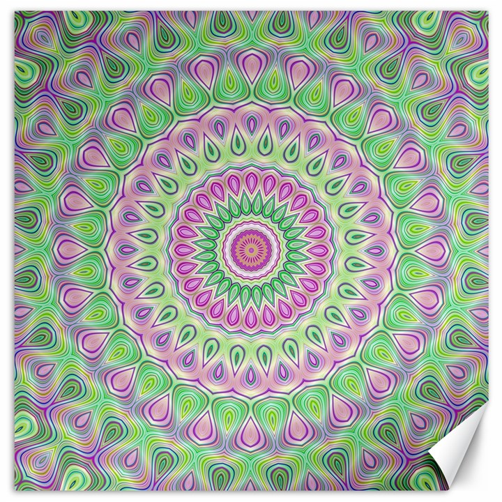 Mandala Canvas 20  x 20  (Unframed)