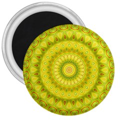 Mandala 3  Button Magnet by Siebenhuehner