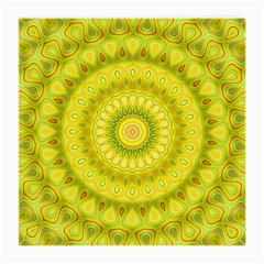 Mandala Glasses Cloth (medium) by Siebenhuehner