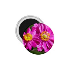 Flower 1 75  Button Magnet by Siebenhuehner