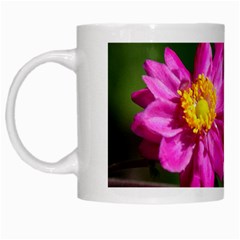 Flower White Coffee Mug by Siebenhuehner