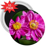 Flower 3  Button Magnet (10 pack) Front