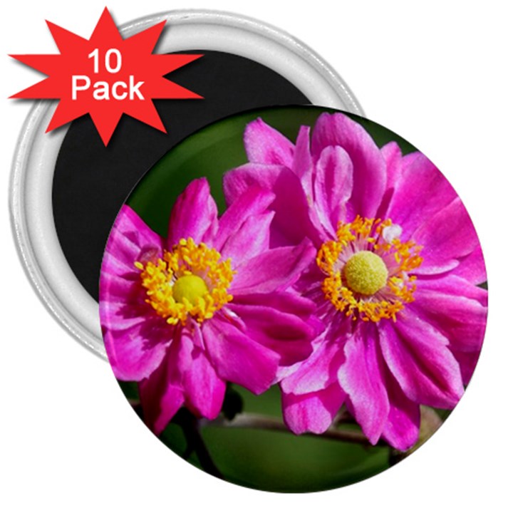 Flower 3  Button Magnet (10 pack)