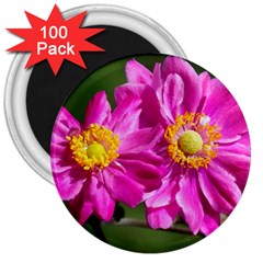 Flower 3  Button Magnet (100 Pack) by Siebenhuehner