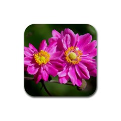 Flower Drink Coasters 4 Pack (square) by Siebenhuehner