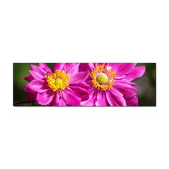 Flower Bumper Sticker 10 Pack by Siebenhuehner