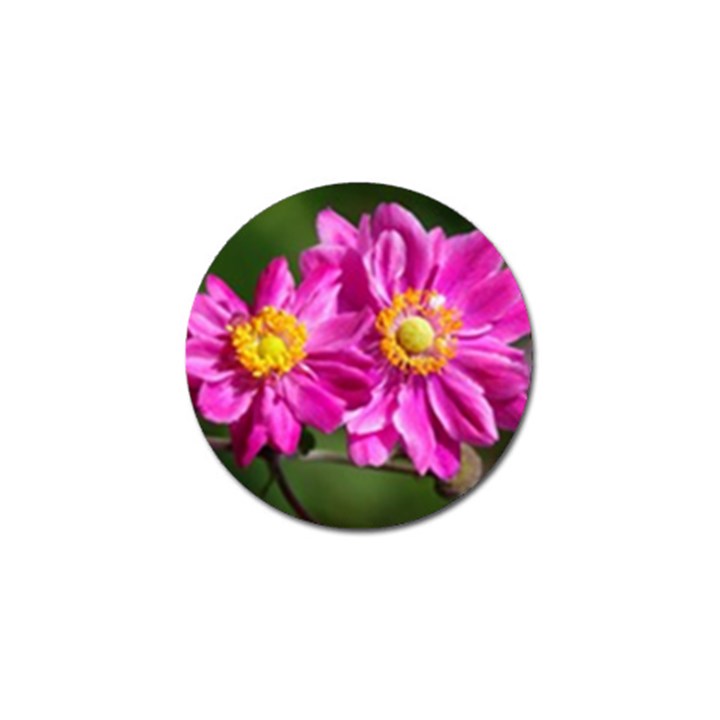 Flower Golf Ball Marker 10 Pack