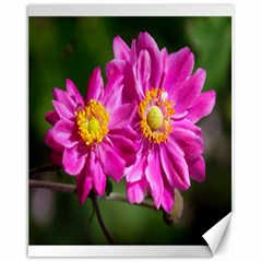 Flower Canvas 16  X 20  (unframed) by Siebenhuehner