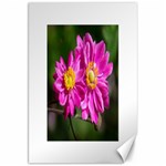 Flower Canvas 20  x 30  (Unframed) 19.62 x28.9  Canvas - 1