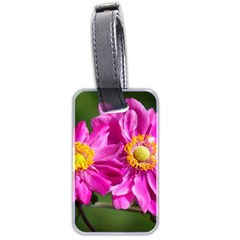 Flower Luggage Tag (two Sides) by Siebenhuehner