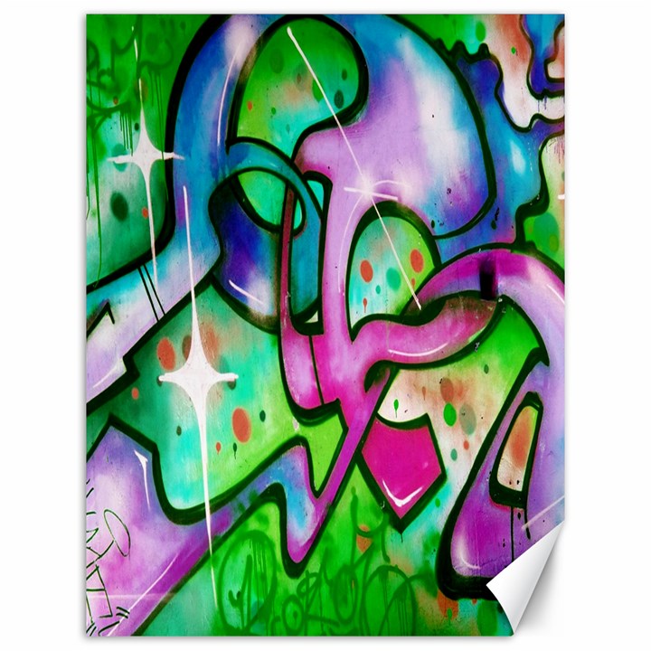 Graffity Canvas 12  x 16  (Unframed)