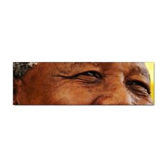 Mandela Bumper Sticker