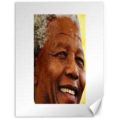 Mandela Canvas 12  X 16  (unframed) by MORE4MANDELA