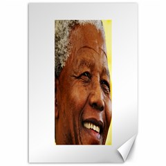 Mandela Canvas 12  X 18  (unframed) by MORE4MANDELA