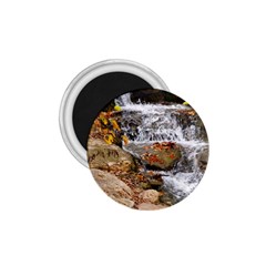 Waterfall 1 75  Button Magnet