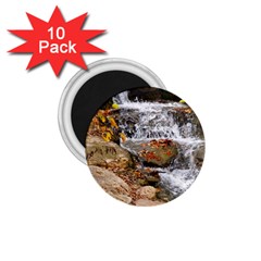 Waterfall 1 75  Button Magnet (10 Pack) by uniquedesignsbycassie