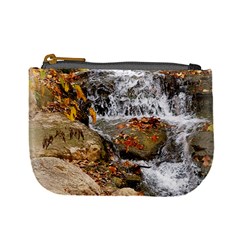 Waterfall Coin Change Purse