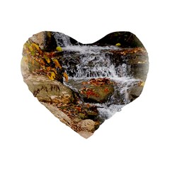 Waterfall 16  Premium Heart Shape Cushion 