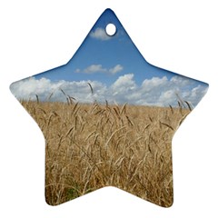 Gettysburg 1 068 Star Ornament