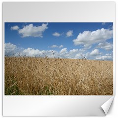 Grain And Sky Canvas 12  X 12  (unframed) by plainandsimple