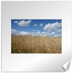 Grain and Sky Canvas 16  x 16  (Unframed) 15.2 x15.41  Canvas - 1