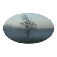 Foggy Tree Magnet (oval)