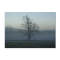 Foggy Tree A4 Sticker 100 Pack by plainandsimple