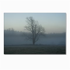 Foggy Tree Postcards 5  X 7  (10 Pack) by plainandsimple